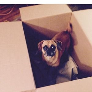 Meet your Posher, Mike